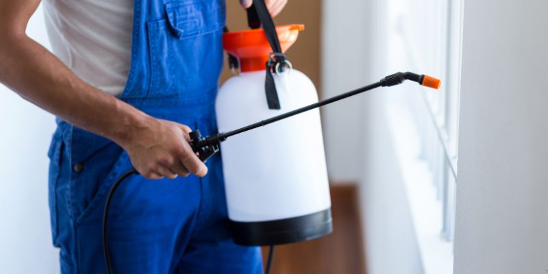 Como Fazer Dedetização em Casa em Blumenau: 4 Dicas Simples Como fazer dedetização em casa em Blumenau