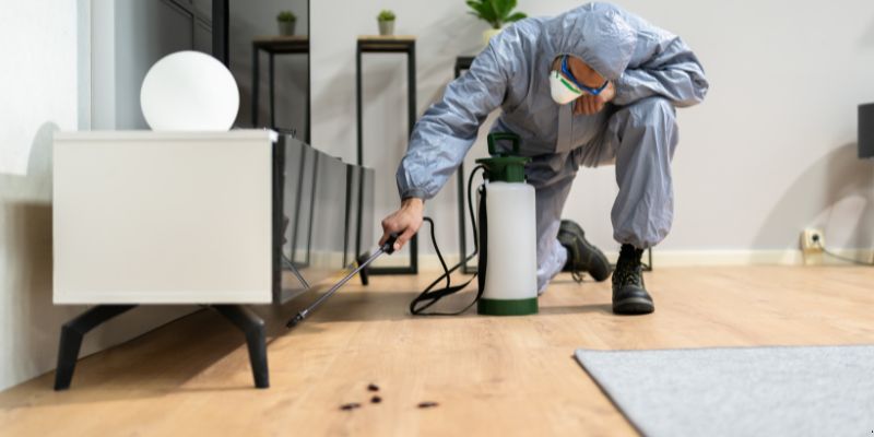 Quanto Tempo Dura Uma Dedetização em Blumenau? Confira! Quanto tempo dura uma dedetização em Blumenau?